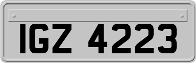 IGZ4223