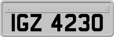 IGZ4230