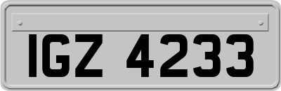 IGZ4233