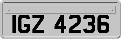 IGZ4236