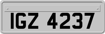 IGZ4237