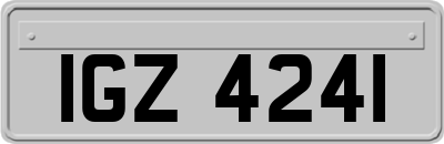 IGZ4241