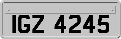 IGZ4245
