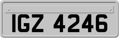 IGZ4246