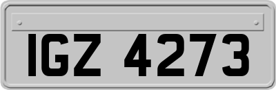IGZ4273