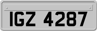 IGZ4287