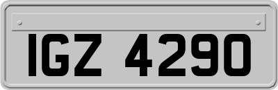 IGZ4290