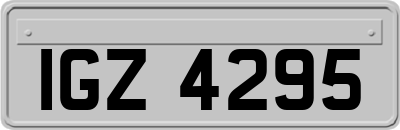 IGZ4295
