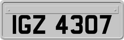 IGZ4307