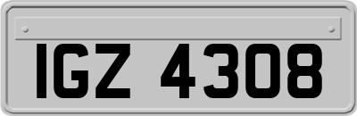 IGZ4308