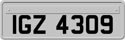IGZ4309