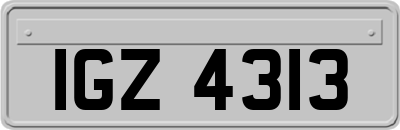 IGZ4313
