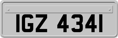 IGZ4341