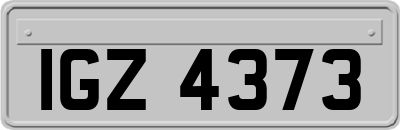 IGZ4373