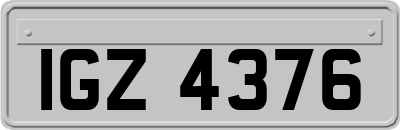 IGZ4376