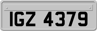 IGZ4379