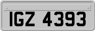 IGZ4393