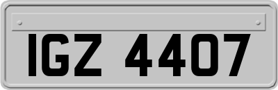 IGZ4407