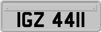 IGZ4411