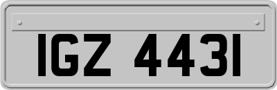 IGZ4431