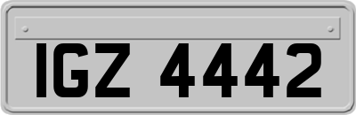 IGZ4442