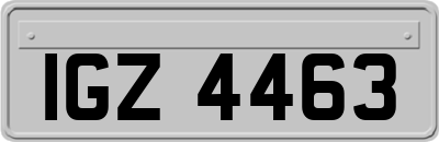 IGZ4463