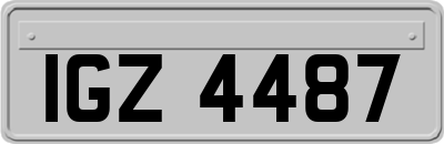 IGZ4487