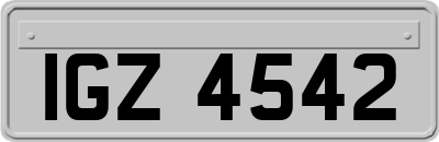IGZ4542