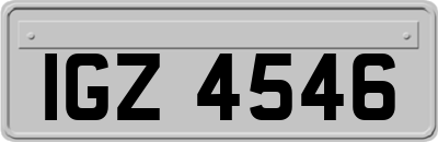 IGZ4546