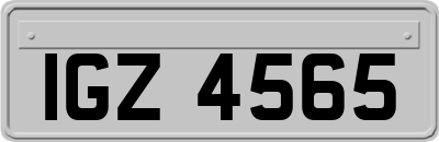 IGZ4565