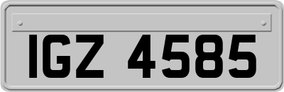 IGZ4585