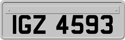 IGZ4593