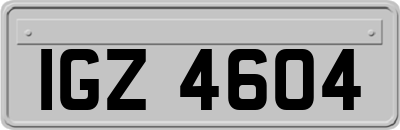 IGZ4604