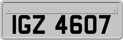 IGZ4607
