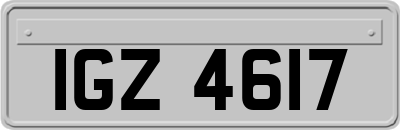 IGZ4617