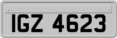 IGZ4623
