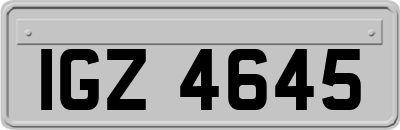 IGZ4645