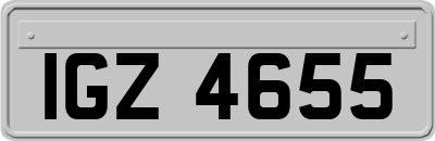 IGZ4655