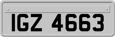 IGZ4663