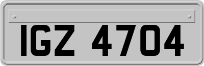 IGZ4704