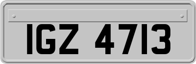 IGZ4713