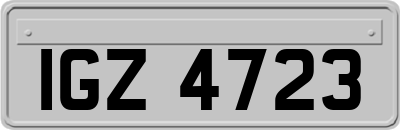 IGZ4723