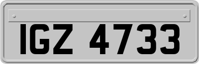 IGZ4733