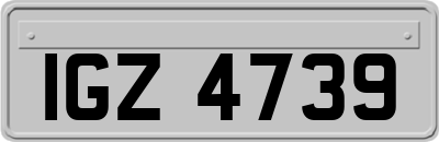 IGZ4739