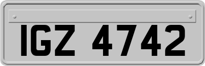 IGZ4742