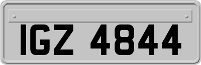 IGZ4844