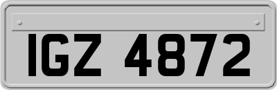 IGZ4872