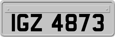 IGZ4873