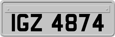 IGZ4874