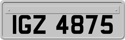 IGZ4875